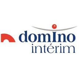 Domino Executive Search logo
