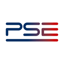 Polskie Sieci Elektroenergetyczne S.A. logo