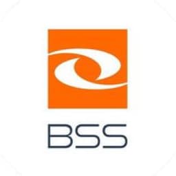 Business Support Solution Spółka Akcyjna (BSS) logo